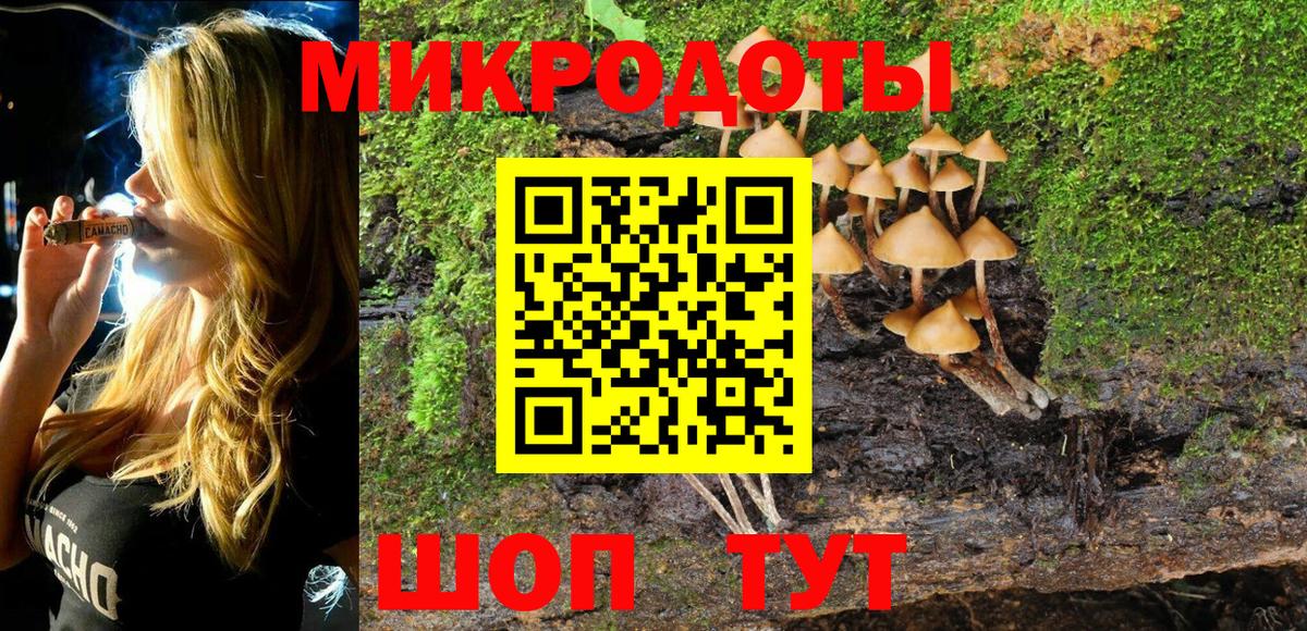 Галлюциногенные грибы мицелий Казань