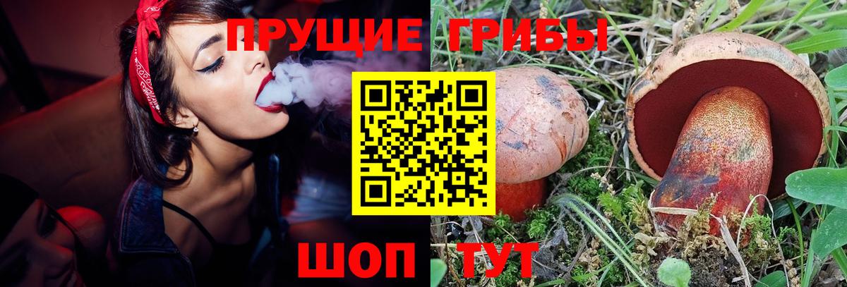 Псилоцибиновые грибы MAGIC MUSHROOMS  Псилоцибиновые грибы GOLDEN TEACHER  Казань  Вход с VPN 